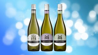 Review of Mud House French Sauvignon Blanc 2022 white wine [upl. by Duomham]