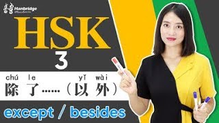 Lets learn HSK 3 sentence structure 除了……（以外） [upl. by Hadlee]