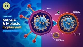 Cell Cycle and Cell Division  Class 11 Biology Animated Video  Mitosis amp Meiosis Explained [upl. by Jocelyn]