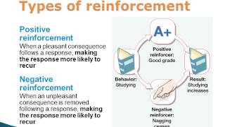 Operant Conditioning Positive and Negative Reinforcement and Punishment [upl. by Sherfield]