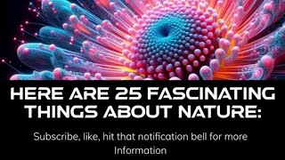 25 Creative Fascinating and Amazing Things About Nature [upl. by Einahpetse]