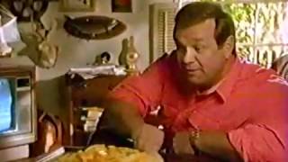 Cheddar Cheese Commercial 1992 [upl. by Ahcatan487]