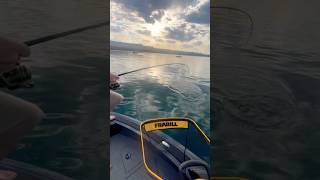 Barefoot and Bent Rods Landing Striped Bass outdoors fishing adventure explore bigfish [upl. by Trebla]