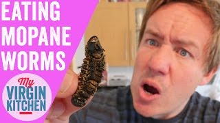 MOPANE WORM CATERPILLAR TASTE TEST [upl. by Weinshienk]