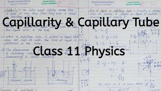 Capillarity  Capillary Tube  Chapter 9  Mechanical Properties of Fluids  Class 11 Physics [upl. by Range]