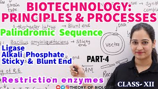 ENZYMES USED IN GENETIC ENGINEERINGPART4 PALINDROMIC SEQUENCE NEET 2025BIOTECHNOLOGY [upl. by Kyle253]