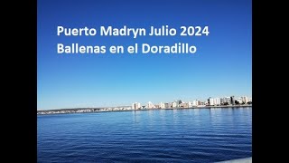 Puerto Madryn Julio 2024 [upl. by Inatirb507]