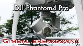 My drone broke down footage DJI Phantom4 Pro Drone trouble [upl. by Annabella238]