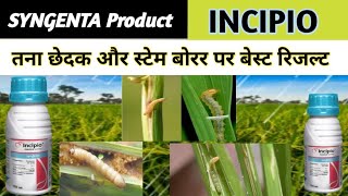 SYNGENTA INCIPIO insecticide  Best insecticid  इंसिपियो  तना छेदक और स्टेम बोरर पर बेस्ट कंट्रोल [upl. by Aitret576]