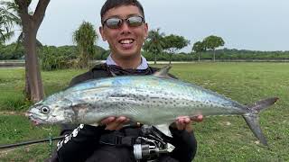 Shore Jigging Episode 14 Landing a Spotted Mackerel [upl. by Besnard449]