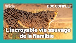 Namibie Une nature sauvage et époustouflante I WIDE [upl. by Hehre]