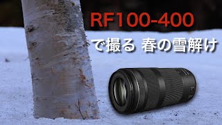 RF 100400mm F568 IS USM で撮る春の雪解け 写真作例 Sample photography  Canon EOS RP [upl. by Trey]