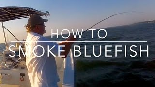 How To Smoke Bluefish  Chesapeake Style [upl. by Bauske589]