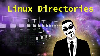 🔍 Explore Linux Directories for Ethical Hacking [upl. by Philcox]