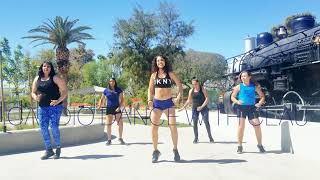 Dibby dibby soundDj FreshCARDIO DANCE WITH CLAU [upl. by Barbey]