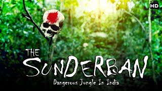 भारत का सबसे खतरनाक जंगल quotसुंदरबनquot  The Dangerous Sundarban [upl. by Kingston]