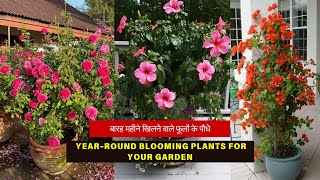 बारह महीने खिलने वाले फूलों के पौधे  YearRound Blooming Plants for Your Garden [upl. by Griff]