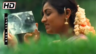 Raasavae Unnai kanatha nenju  Female Version   P Susheela Love Melodies  Vaidehi Kathirunthal [upl. by Winnie66]