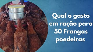 Qual o gasto para manter 50 poedeiras Embrapa 051 do 1° dia até o início da produção Veja [upl. by Yelwar]