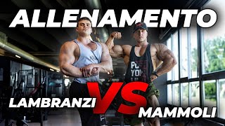 ALLENAMETO LAMBRANZI VS MAMMOLI [upl. by Oconnor]