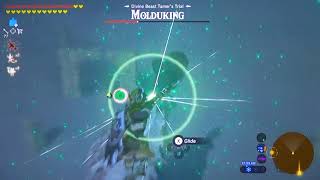 BotW171b  BEST How To Kill MolduKing amp Big Or Small Keive Tala Shrine DLC2 Champion Urbosas Song [upl. by Ehrsam421]