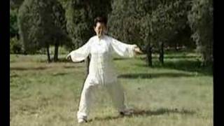 Hunyuan Taijiquan 24 [upl. by Clovah]