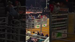 Spider Cowboy 🤠wrecks bullriding [upl. by Aidas37]