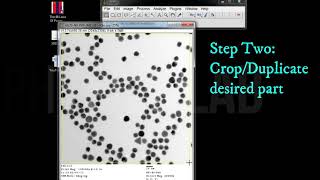 imageJ tutorialHow to analyse microstructure using imageJ [upl. by Ennaillij567]