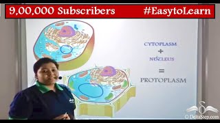 Cytoplasm and Protoplasm  Difference  Cells  Class 6  CBSE  NCERT  ICSE [upl. by Dirtsa723]