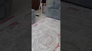 How To Clean a Carpet without a Vacuum youtubeshorts carpetcleaning shorts youtubevloggers [upl. by Eirameinna]