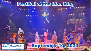 Festival of the Lion King  September 10 2023 [upl. by Ahseket953]