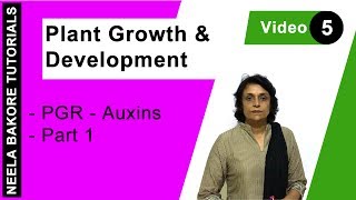 Plant Growth amp Development  NEET  PGR  Auxins  Part 1  Neela Bakore Tutorials [upl. by Steward]