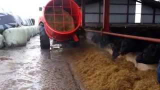 Blaney Bale Feeder nov 14 [upl. by Eidde]