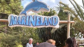 Marineland Mallorca Soain [upl. by Jagir872]