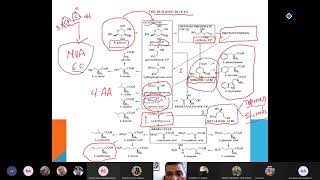 Phytochemistry ii Lec 1 General Introduction [upl. by Entirb]