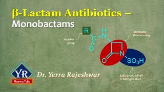 BetaLactam Antibiotics  Monobactams  Monobactam Antibiotics  YR Pharma Tube  DrYerra Rajeshwar [upl. by Ahsonek]