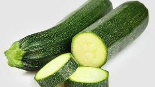 How To Grow Zucchini amp Bush Squash  Complete Growing Guide [upl. by Ahsenik]