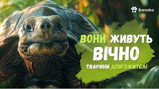 🌟 Вони живуть вічно 🌟 Тварини довгожителі 🌟 [upl. by Hseyaj]