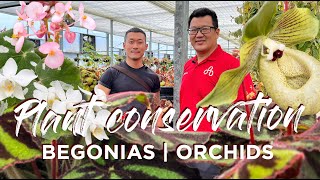 Massive Plant Conservation Center In Taiwan 🇹🇼  Orchids  Begonias  Cryopreservation  Care tips [upl. by Gertie]