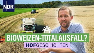 Totalausfall im Bioweizen  Hofgeschichten Leben auf dem Land 244  NDR [upl. by Mani]