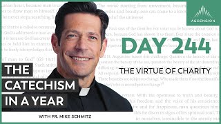 Day 244 The Virtue of Charity — The Catechism in a Year with Fr Mike Schmitz [upl. by Sert]