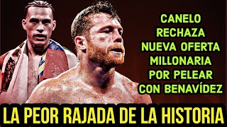 Canelo RECHAZA NUEVA OFERTA MILLONARIA por Pelea con Benavídez [upl. by Marne200]