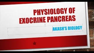 physiology of pancreas [upl. by Rainger]