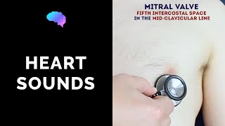 Heart murmur sounds cardiac auscultation sounds  UKMLA  CPSA [upl. by Culbert]