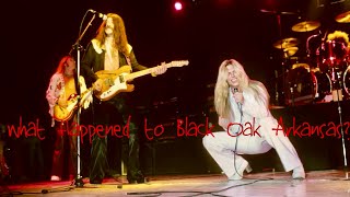 What Happened to Black Oak Arkansas [upl. by Aniryt]