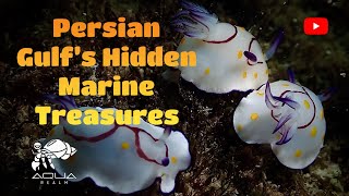 Discover the Hidden Wonders of Persian Gulf Marine Life Rare Species amp Conservation Challenges [upl. by Jolda768]