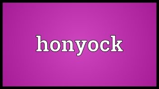 Honyock Meaning [upl. by Antonino]