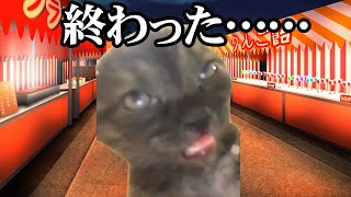 りんご飴で前歯が砕けた時 猫ミーム 猫マニ [upl. by Cassondra]