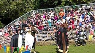 Knights Joust and Sword fightmov [upl. by Benkley]