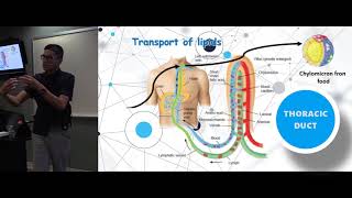 APOE APOE4 Cholesterol LDL amp Insulin Resistance  links to heart disease amp dementia [upl. by Eenahpets]